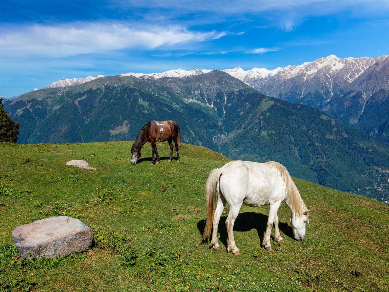 manali family tour packages